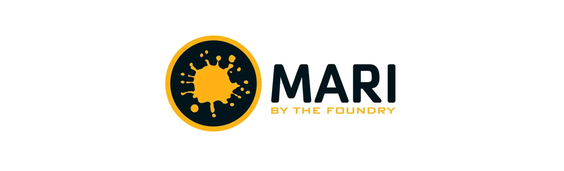 3D Texturing Software_Mari